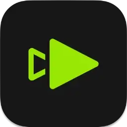 topaz video pro.png