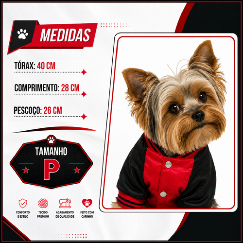 MEDIDAS LAYOUT P.png