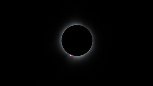 IMG 0884 Eclipse Corona and Prominences.jpg
