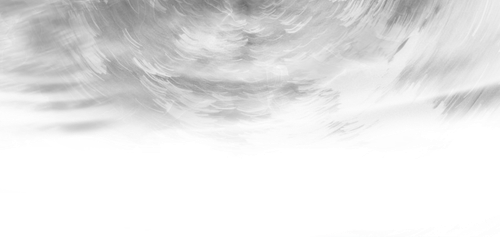 IMG 2994.png