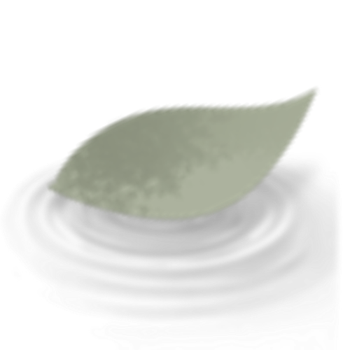 IMG 2993.png