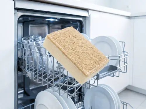 dishwasher.webp