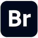 adobe bridge 2026.png