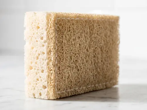 macro texture.webp