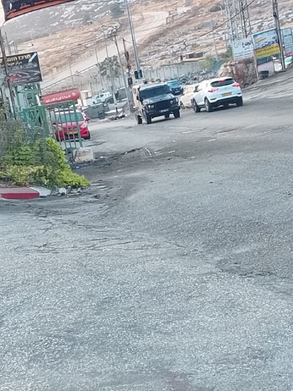 صورة الخبر