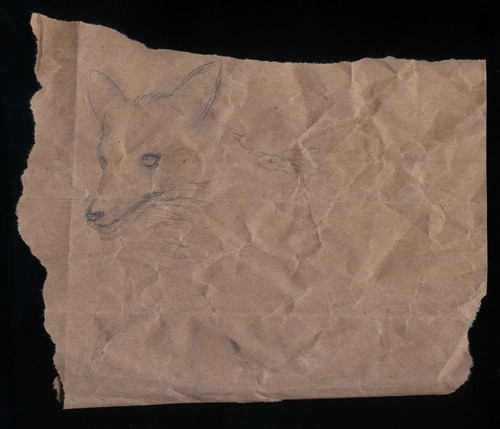 foxer2024.jpg
