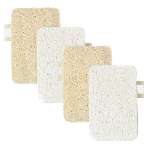 8bc84b178774.webp