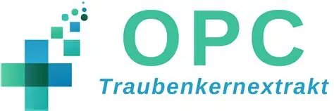 OIP.webp