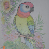 CIMG0336