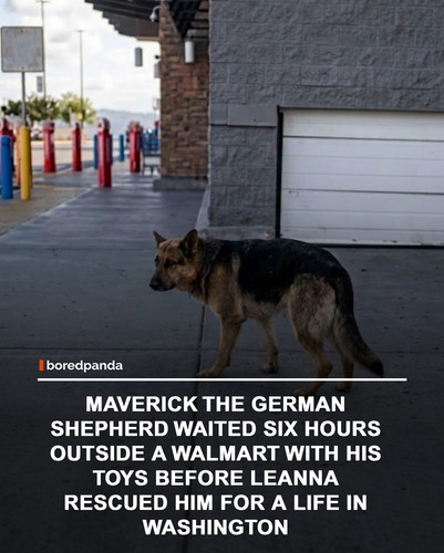 img facts (3).jpg