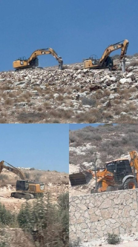صورة الخبر