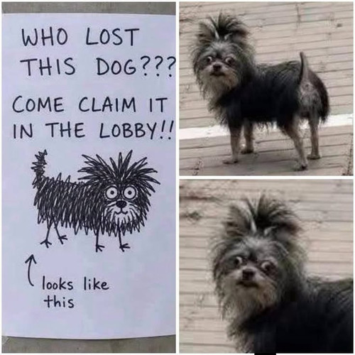 1000001017