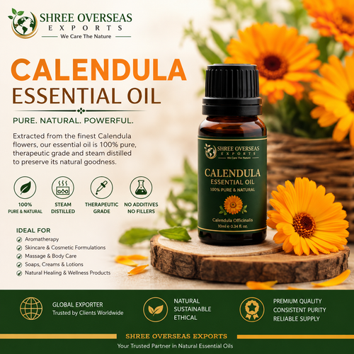 Organic Calendula Essential Oil Supplier A B2B Guide for Private Label and Cosmetic Manufacturers.png