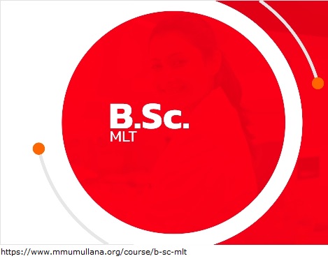 Bsc mlt application.jpg