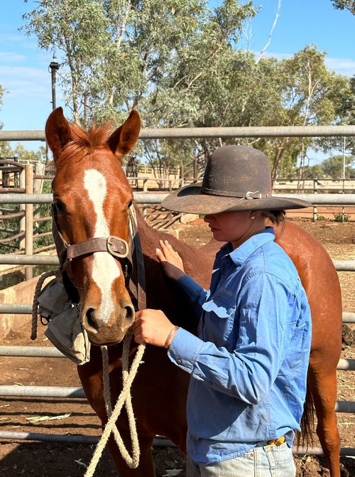 Amy K horse.jpg