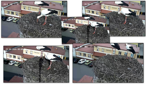 Bilder2.jpg
