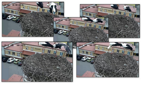 Bilder3.jpg