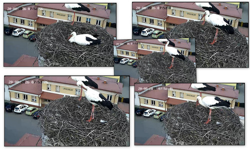 Bilder1.jpg
