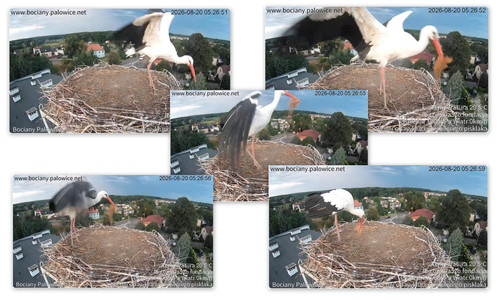 Bilder8.jpg