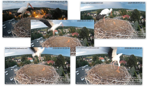 Bilder7.jpg