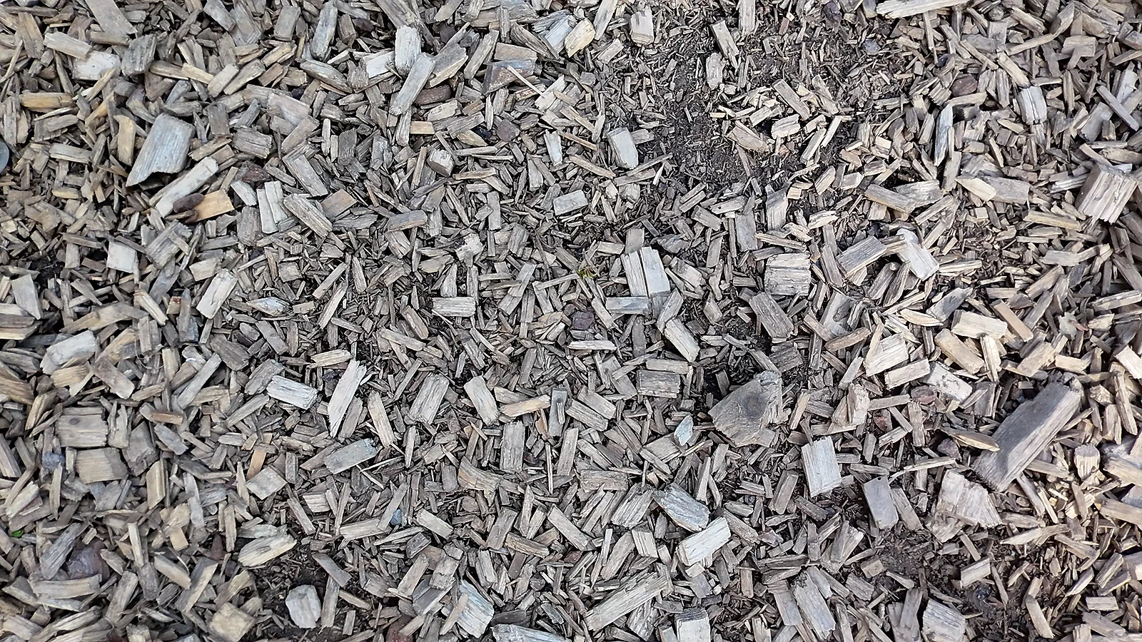 DJI Neo 2 Test DOWNTOWN MAG Neo1 1140x641