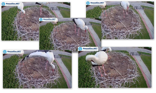 Bilder11.jpg