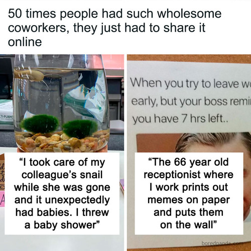 1 (4).jpg