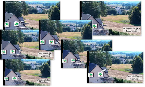 Bilder.jpg