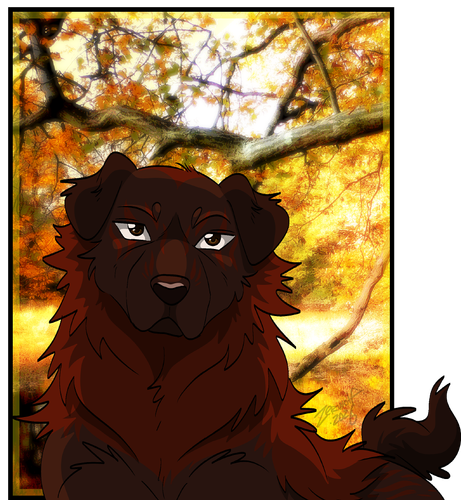 Bear Naatti.png