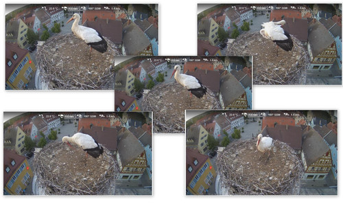 Bilder10.jpg