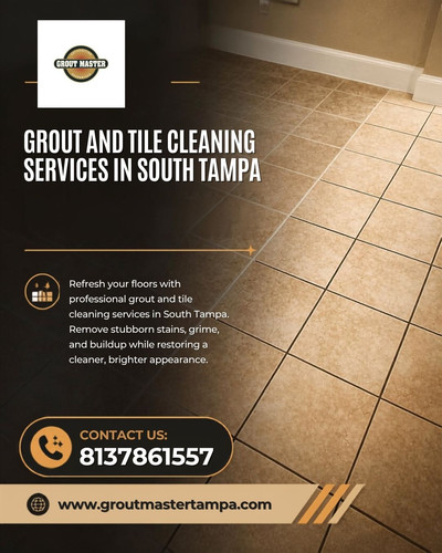 Grout and Tile Cleaning Services in South Tampa.jpg