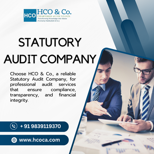 Statutory audit company for Clear and Accurate Accounts.png
