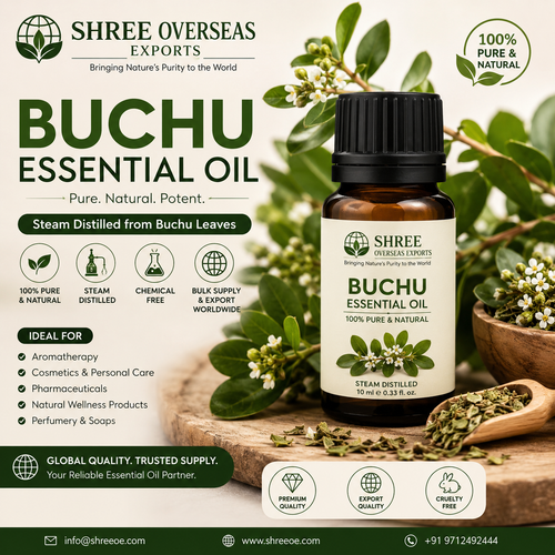 Buchu Essential Oil Private Label Manufacturer.png