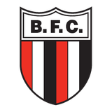 logo botafogo sp 256