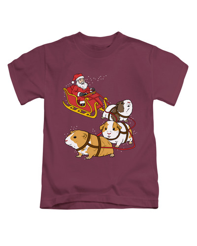 t31 maroon.jpg