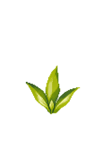 4.png