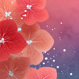 deb pink and white repeated abstract floral faded color beau 38e9d0f9 b3ec 46dd 9ee4 8d4fcf05704c 1