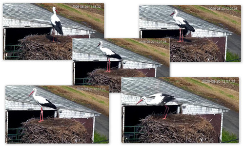 Bilder1.jpg