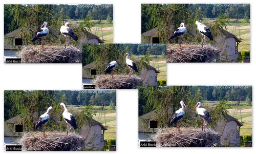 Bilder2.jpg