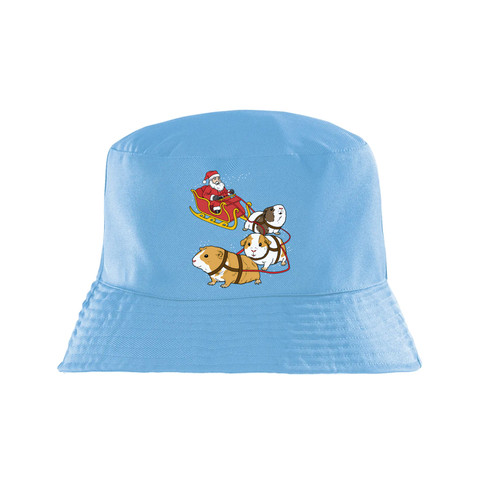 h1 blue.jpg