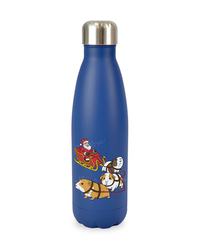 bottle8.jpg