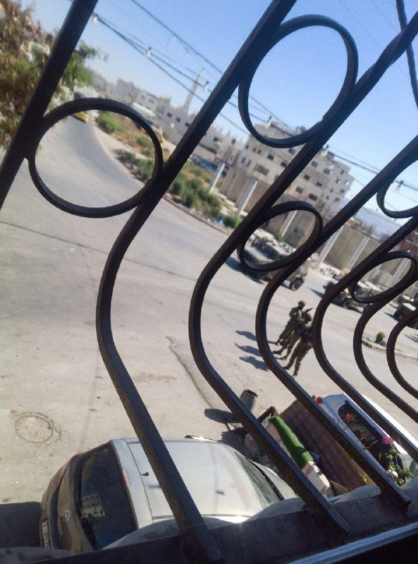 صورة الخبر