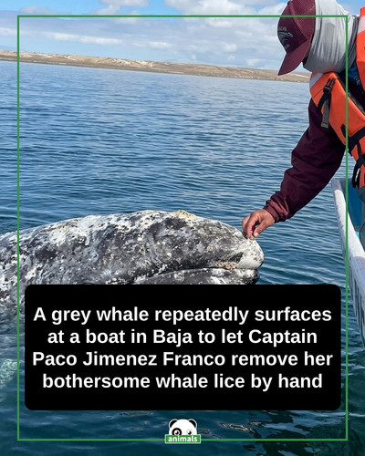 draft 286.jpg