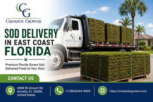 Sod Delivery in East Coast Florida Fresh Turf Delivered to Your Door.png