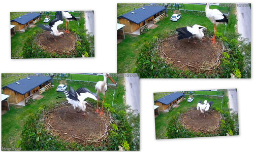 Bilder7.jpg