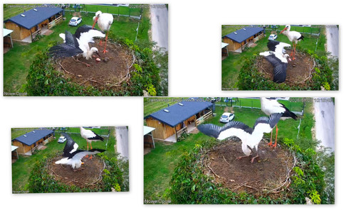 Bilder6.jpg