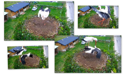 Bilder5.jpg