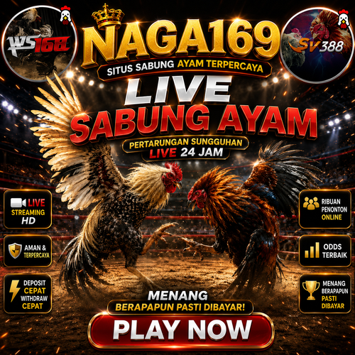 WS168 - Claim Bonus Ekstra Sambung Ayam 6x Win Beruntun dapat 500 ribu Sekarang juga
