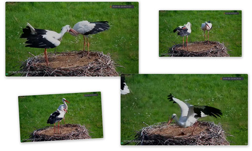 Bilder8.jpg