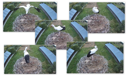 Bilder9.jpg
